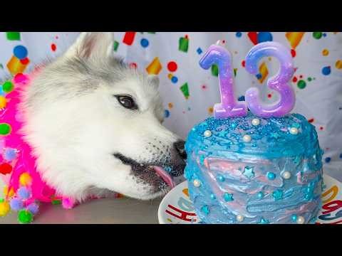 My Dog Turned BLUE! 💙 Edible Glitter Birthday Disaster?