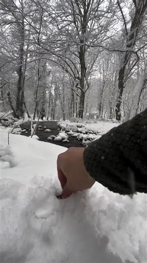 Delicious Outdoor Chicken Recipe