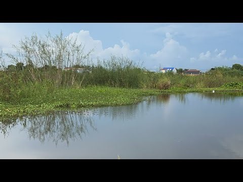 My best catch ever with net casting