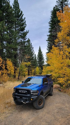 Shock Surplus on Reels