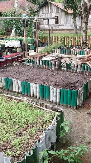 2.1M views · 32K reactions | Tanam kangkung lagi di raised bed bambu #jangkauan #berkebun #gardening | Ririn Pasaribu | Facebook