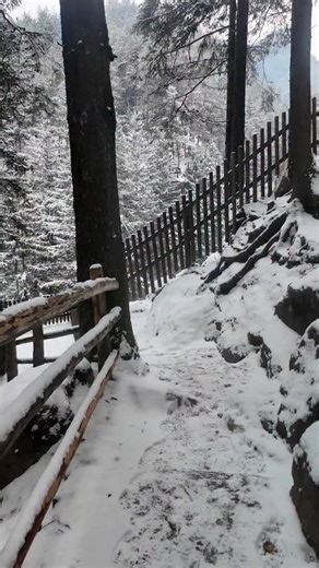 Magical season❄️ Winter Cascate di Riva Campo Tures Dolomiti #dolomites #dolomiti #mountains #waterfall #winter #winteriscoming❄️ #cascate #campotures #magical #season #altoadige #italy #nature #landscape #montagna #beautifulearth #winteriscoming #experience | Valerio Esposito