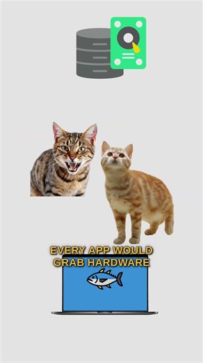 Kernel, explained by cats. #cat #code #kernel #os #linux