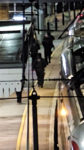 232K views · 1.3K reactions | Absolutely horrifying | The Mirror | Facebook