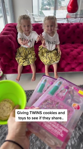 Sharing Cookies and Toys with Twins | Mom's Proud Moment