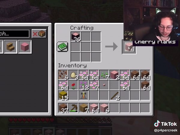 Exploring Minecraft: Building and Tutorials with Daniel