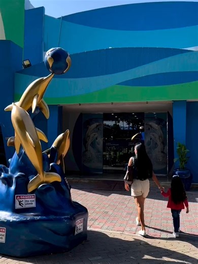 Dubai Dolphinarium is always a fun choice 🐬💙 Amazing dolphin shows, smart tricks, big laughs and entertainment for all ages 😄👏 Perfect for families, kids and visitors looking for something different in Dubai. Seats fill fast, so book your Dolphinarium tickets with us now and don’t miss the show 🎟️✨