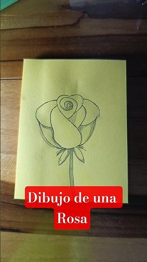 Cómo Dibujar una Rosa Paso a Paso 🌹✨