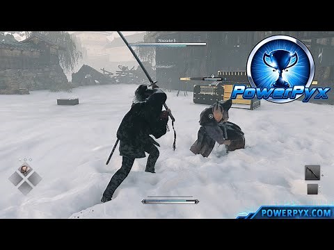 Rise of the Ronin - Striver's License Trophy Guide (Dojo Master Rank)