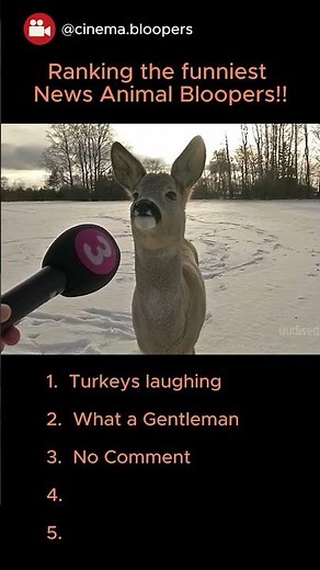Ranking the Funniest News Animal Bloopers of all time!!