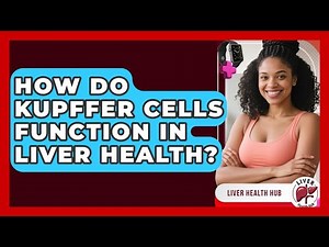 How Do Kupffer Cells Function In Liver Health? - Liver Health Hub