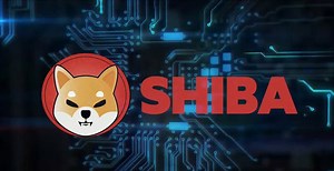 Watch Cryptocurrency Shiba Inu Coin Gold Plated| Shibcoin| Collectible Coin Gift on Amazon Live