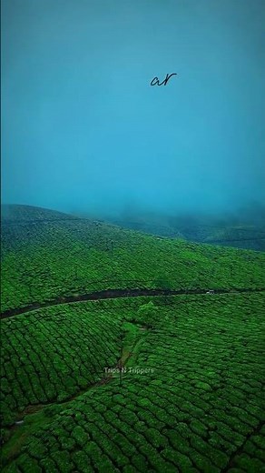 5 Best Places to Visit in July in India 2026