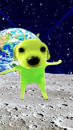 alien dog filter I will be live on 50 subs make fast