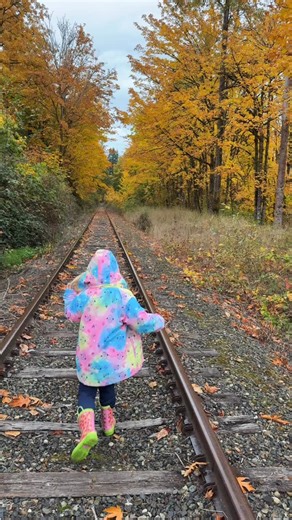Day 3: Exploring Snohomish an amazing trip to Snoqualmie Falls 🥹🥹 #snohomishwa #movingtowashington #txtowa #crosscountrymove #snoqualmiefalls | Story Olivia