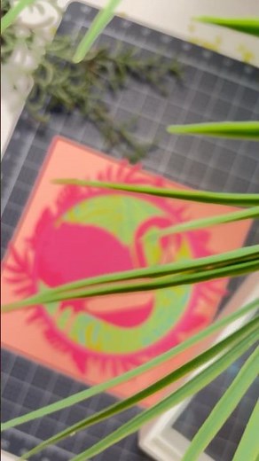 Shadow BOX con cricut