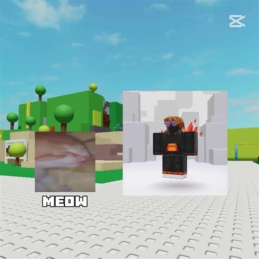 Roblox Cat #roblox#edit#animation