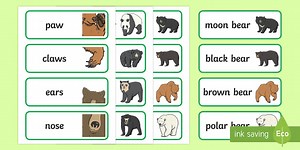 Bears Word Cards