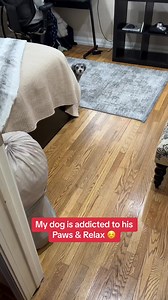 20K views · 321 reactions | Addicted is an understatement  | What Do You Meme? | Facebook