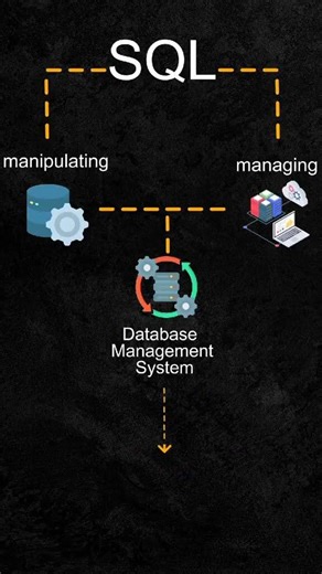 شرح بسيط SQL في البرمجة#databases #تعلم_اساسيات_البرمجة #قواعد_البيانات #developers #dating