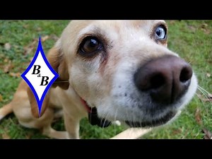 Taylor and Alan's Core Sound 20 Mark3 update #16