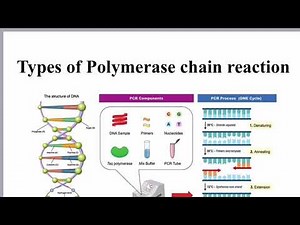 PCR types and conventional PCR / انواع تفاعل البلمرة المتسلسل