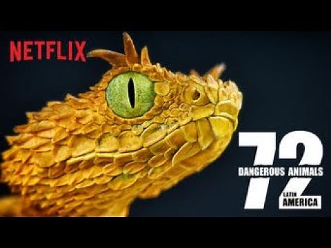 72 most dangerous animals ep.1 animal 1