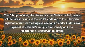 Discover Ethiopias Breathtaking Biodiversity: Top 10 Native Fauna