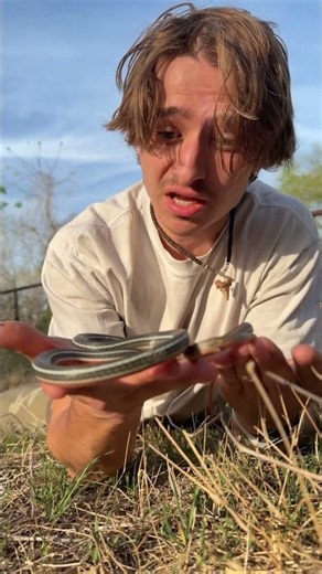 Casual backflip…. #snakes #flip #snake