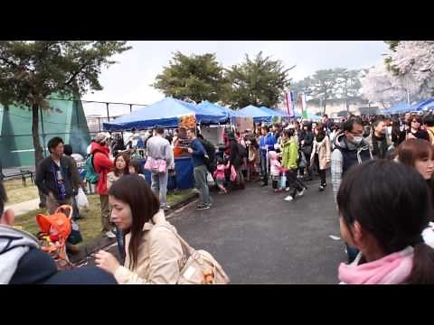 [20140405]米陸軍キャンプ座間桜まつりx01「日米親善キャンプ座間桜まつり～16min～」