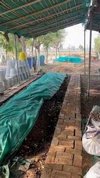 Best Vermicompost setup. #vermicomposting
