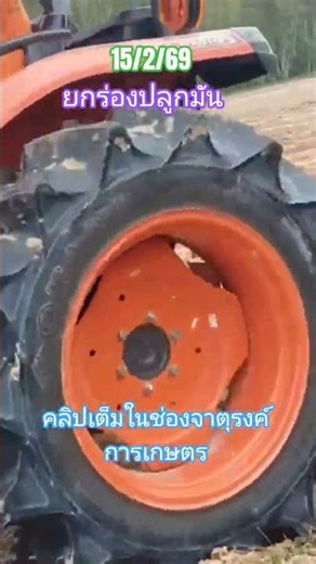 Making furrows for planting cassava #tractor