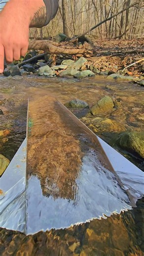 Let’s get this gold #goldprospecting #goldpanning #goldmining #treasure #bedrockminecraft #emas | FishnGold