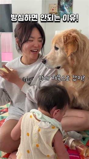 The reason you must not let your guard down when raising a dog and a baby together!