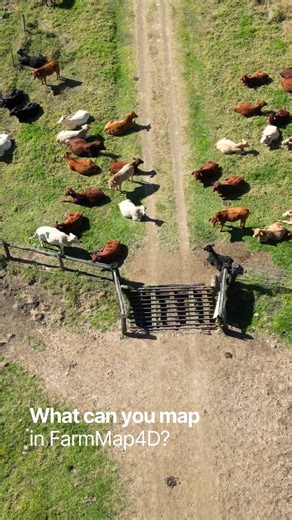 “What can you map in FarmMap4D?” More than you think. Fences, troughs, tanks, bores, dams, pipelines, paddocks, soil types, vegetation zones, erosion points, creek lines, sheds, tracks… and plenty more. If it sits on your land, we can map it 👉 farmmap4d.com.au | FarmMap4D