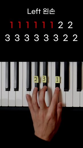 TikTok의 PianoKiwis