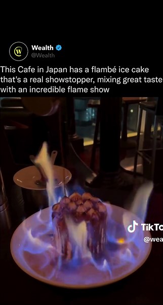 At this Cafe in Japan, the tradition of flambé turns this Ice Cake into a performance, melding taste with visual espectacle to leave a lasting impression on diners! 🍴 This culinary technique, involving high-proof alcohol ignited to produce a controlled flame, not only enhances the visual appeal but also caramelizes the dessert's surface, adding a delicious contrast of textures. Like this content? Follow us @wealth 🌟 Video: @___.ayachan/IG #japan #food #foodie #satisfying #cake