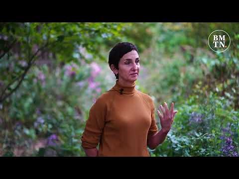 Native Gardening in the Midwest: 5 Steps to Take This Fall