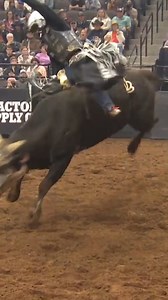 Michael Lane carries his Velocity Tour momentum into the premier level for 8 seconds! | PBR