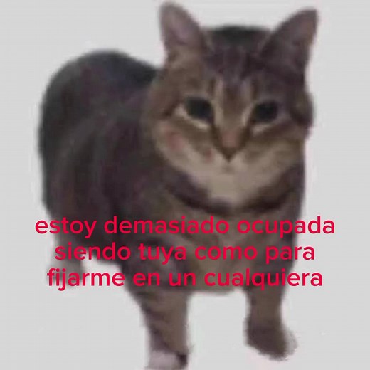 soyesa #dedica #doawanaknow #hashtags #fypage #fpyシ
