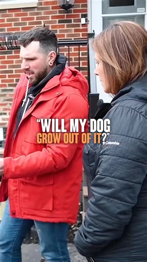 “Do dogs outgrow behavioral issues?” Dogs unfortunately cannot just “grow out of” behavioral issues. This is because they exist from constantly being reinforced. If your dog jumps on guests when they come over and they get pet by the guests, they’re being reinforced. If your dog has fear aggression and growls at a person which makes them go away, that fear is being reinforced. If your dog struggles in the crate and you take them out because of that, then that behavior is being reinforced. The on