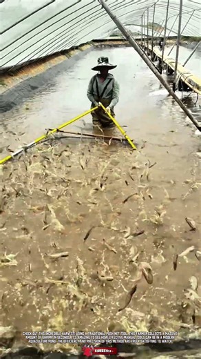 Manual Netting Tool for Smart Harvesting Fresh Sea Food in Aquaculture Pond