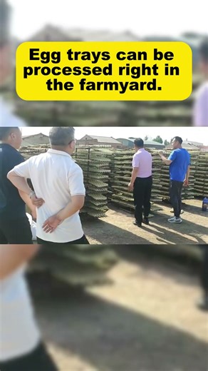 Egg trays can be processed right in the farmyard #machine #factoryproducts #smallindustries