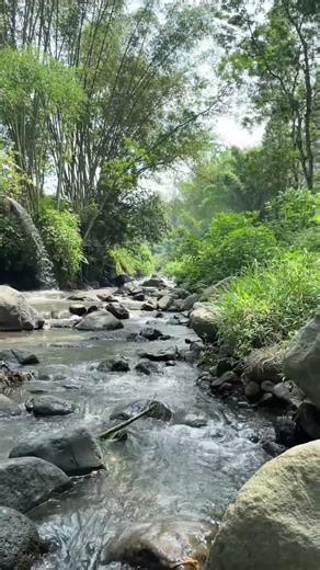 Relaxing ASMR Rocky River with Water Pipe Stream 🌊🪨 | Natural Water Sounds