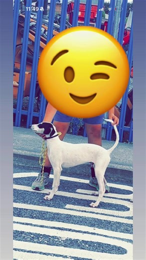 Michael Monaghan (@michael.monaghan35)’s videos with original sound - tory_toozieee