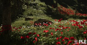 Procedural Landscape Ecosystem for UE4