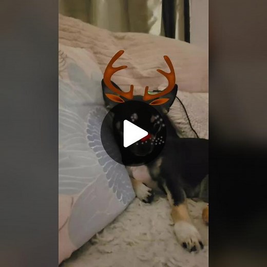 TikTok · Tracey Cook