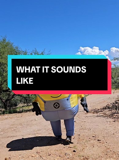 Minions Singing: What It Sounds Like