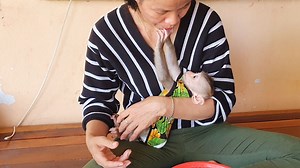 47K views · 10K reactions | Obedient Lovely Lion So Sweet Hand Up Touch Mom's Mouth | Monkey Kid | Facebook