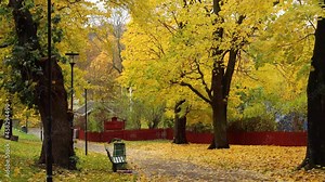 Static view of leaves falling from trees by bench in park in autumn